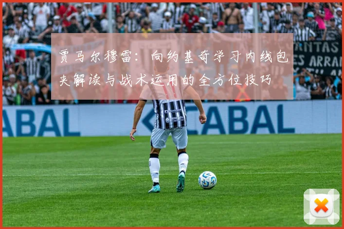 贾马尔穆雷：向约基奇学习内线包夹解读与战术运用的全方位技巧