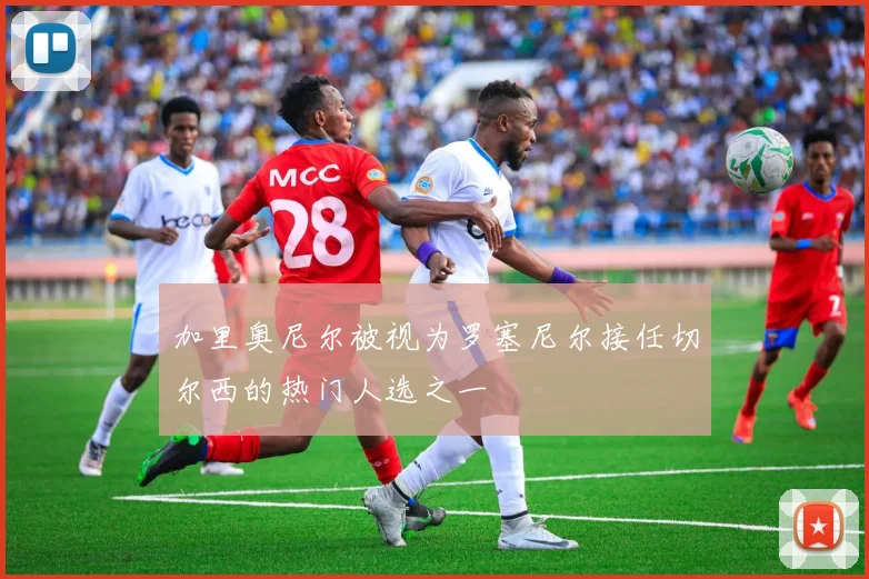 加里奥尼尔被视为罗塞尼尔接任切尔西的热门人选之一
