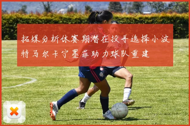 拓媒分析休赛期潜在投手选择小波特马尔卡宁墨菲助力球队重建