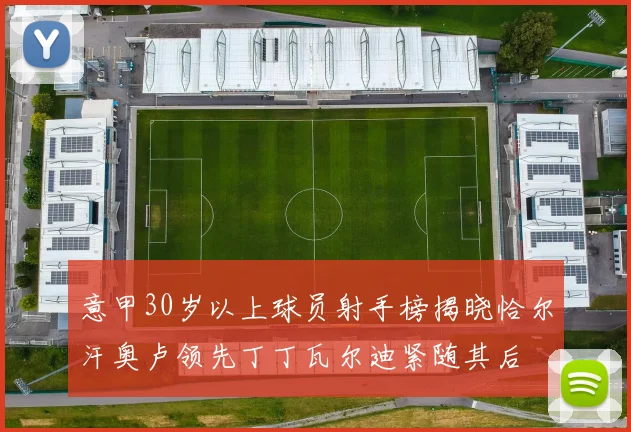 意甲30岁以上球员射手榜揭晓恰尔汗奥卢领先丁丁瓦尔迪紧随其后