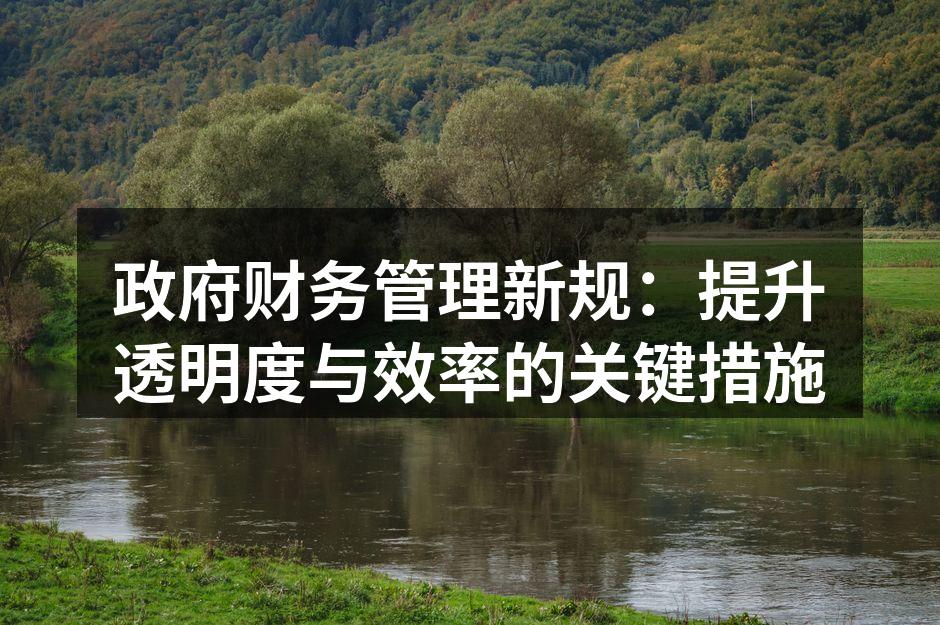 政府财务管理新规：提升透明度与效率的关键