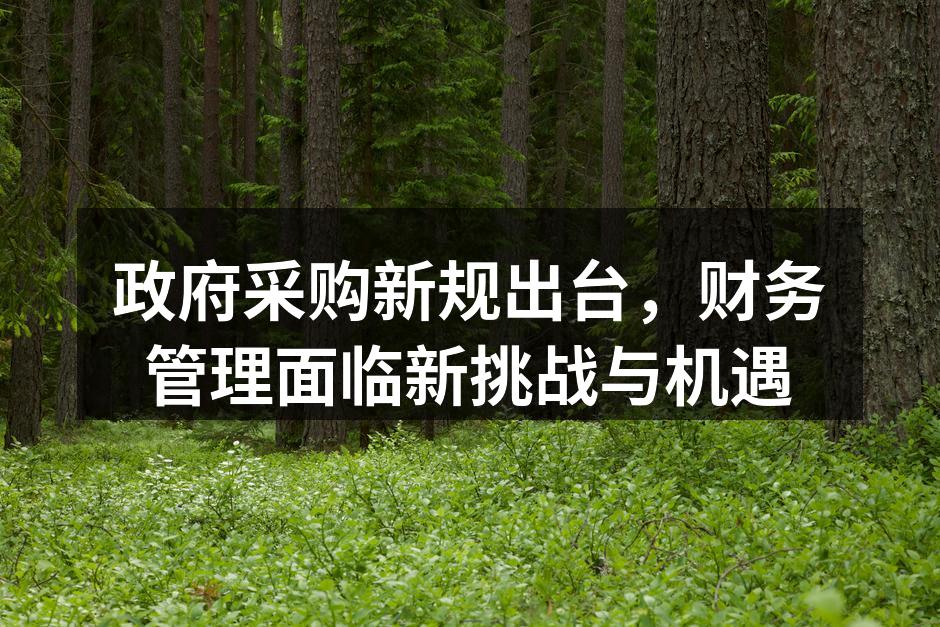 政府采购新规出台，财务管理面临新挑战与机