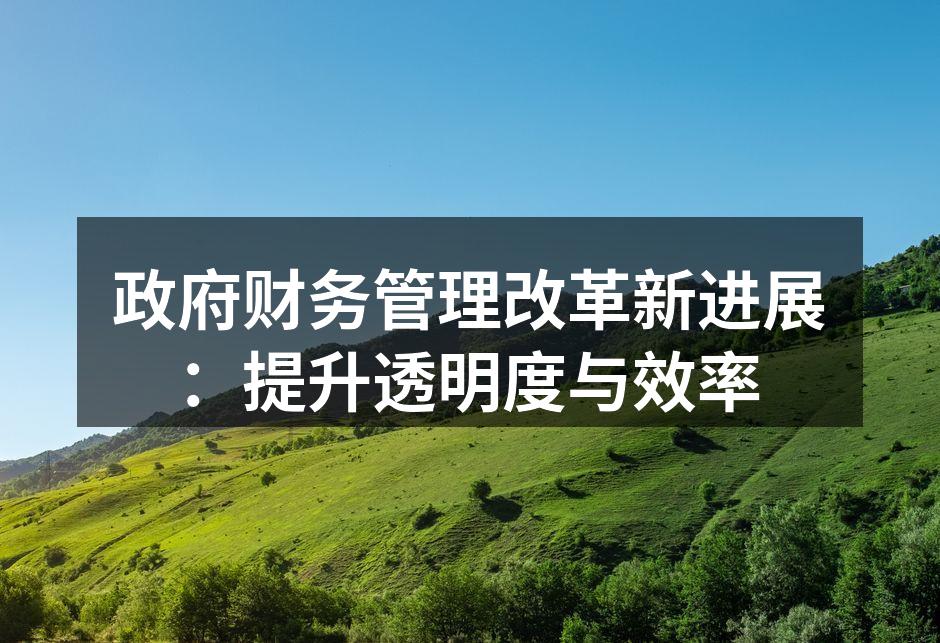 政府财务管理改革新进展：提升透明度与效率
